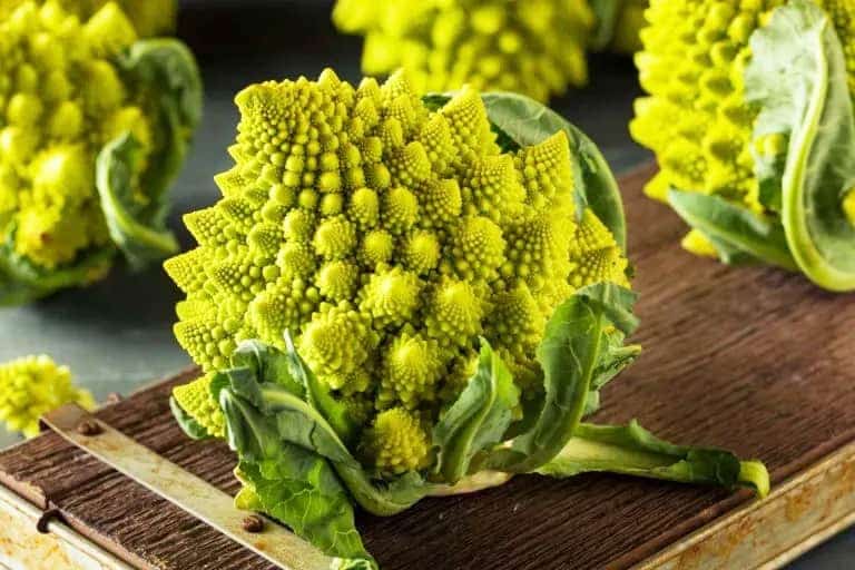 تصویر 3 از خرید و قیمت کلم رومی + فروش عمده
